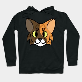 Multicolor Tabby Cat Hoodie